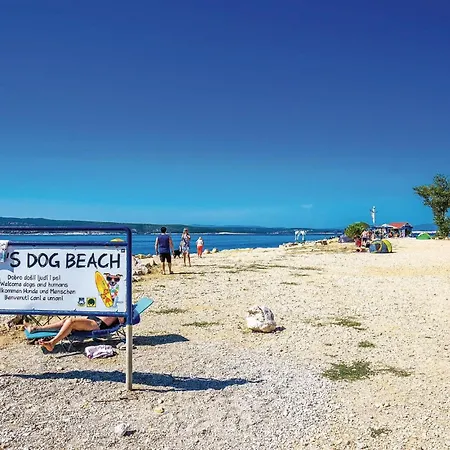 Amazing In * 茨里克韦尼察